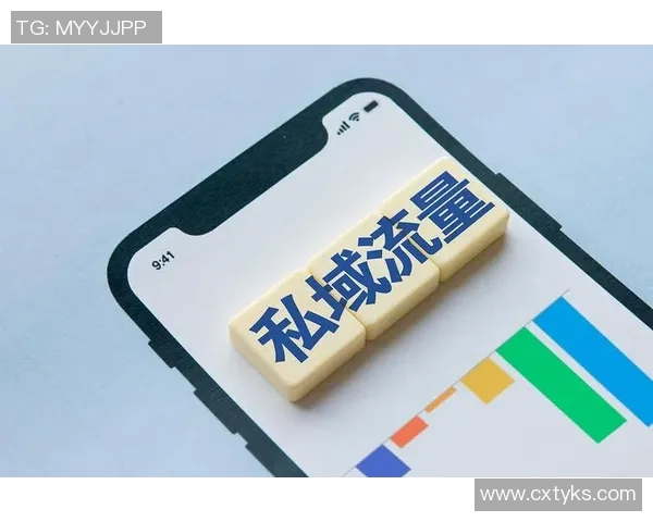 S15赛季LOL战术解析WE运营体系的成功之道与实战应用