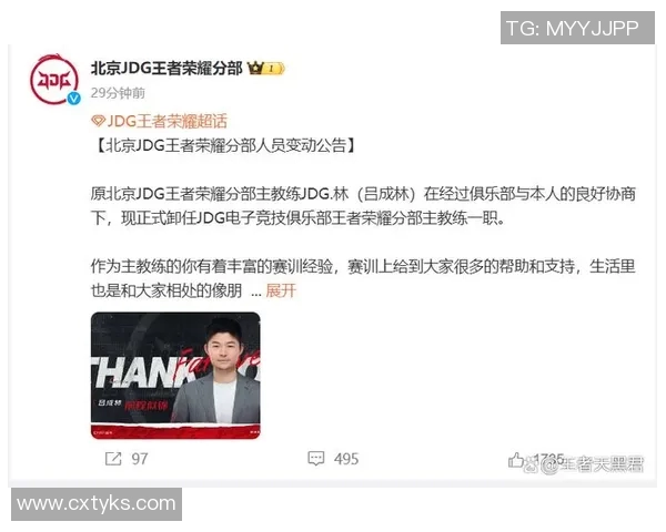 王者荣耀JDG战队比赛经验变革引发热议分析与展望