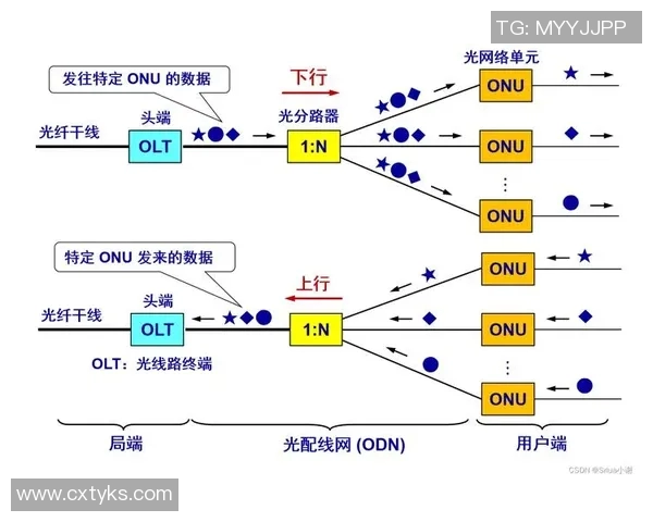 重磅专题TES的反击革新探索与实践全景解析 重磅专题TES的反击革新探索与实践全景解析